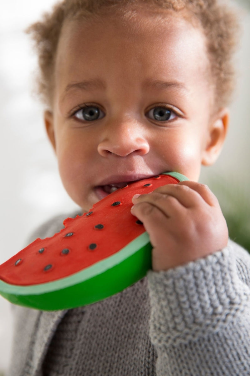 wally the watermelon