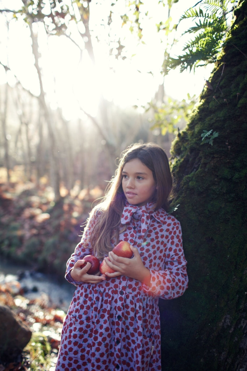 long dress - lilac - apples