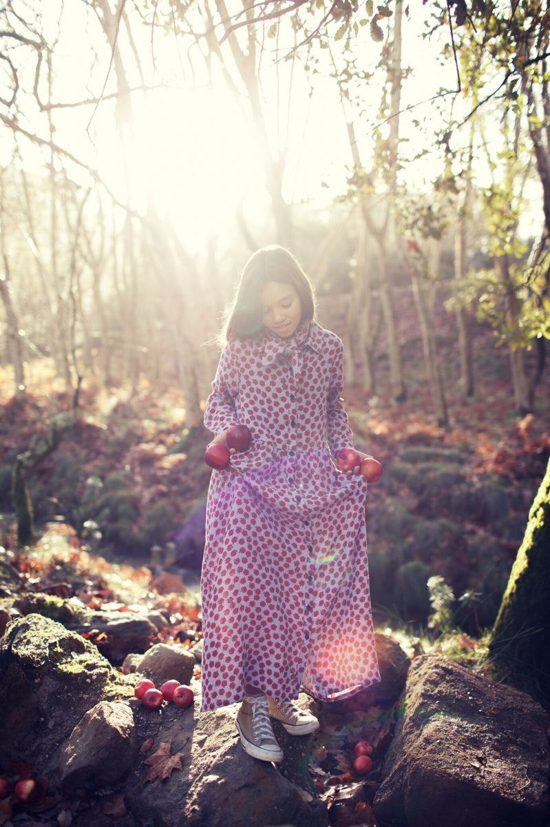 long dress - lilac - apples