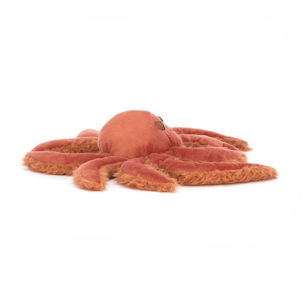 spindleshanks crab